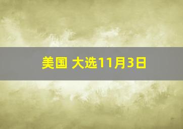 美国 大选11月3日